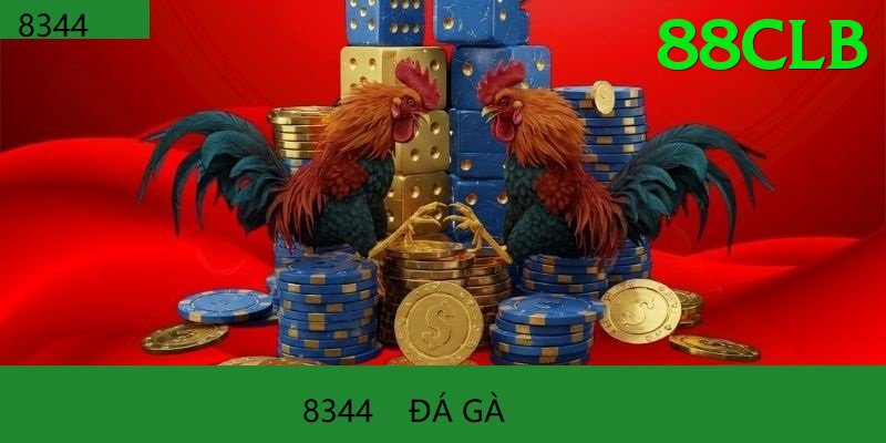Đá Gà Trực Tiếp - Ưu đãi đặc biệt - Phiên bản mới